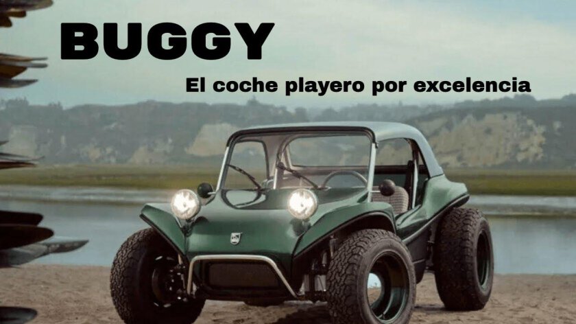 Manx meyers багги