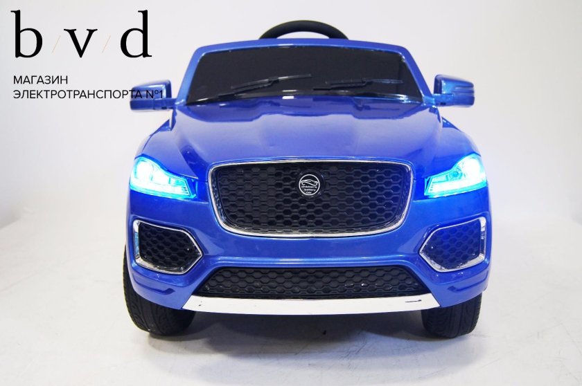 Ягуар Тойс плюс