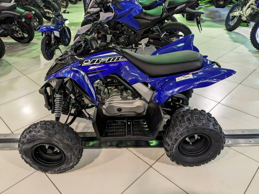 Yamaha Raptor 90