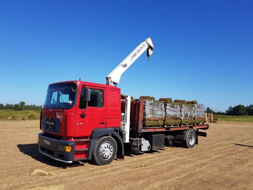 Ман ТГА манипулятор