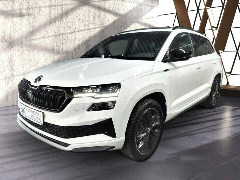 Skoda karoq 2024