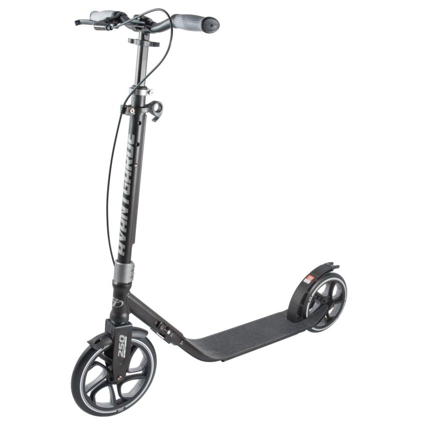 Самокат Micro Black (sa0034)