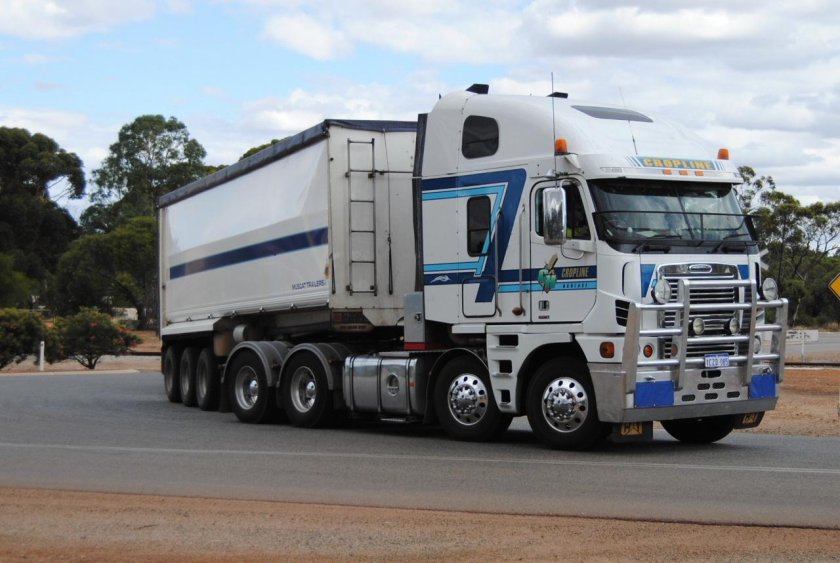 Фредлайнер Аргоси 8*4