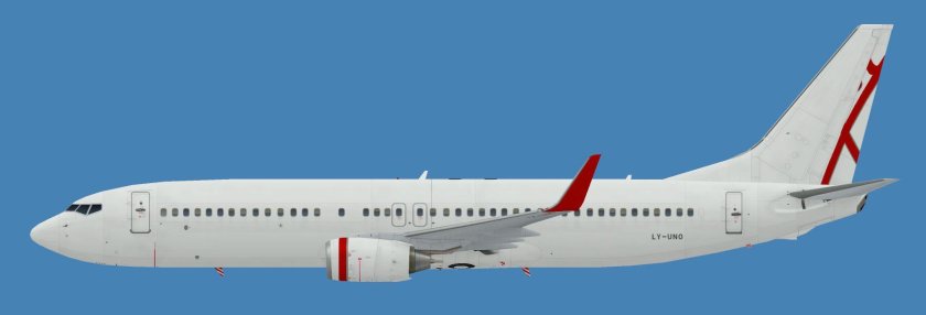 Boeing 737 800 winglets