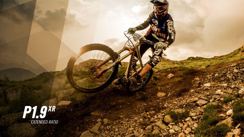 Даунхилл кросс Кантри фрирайд