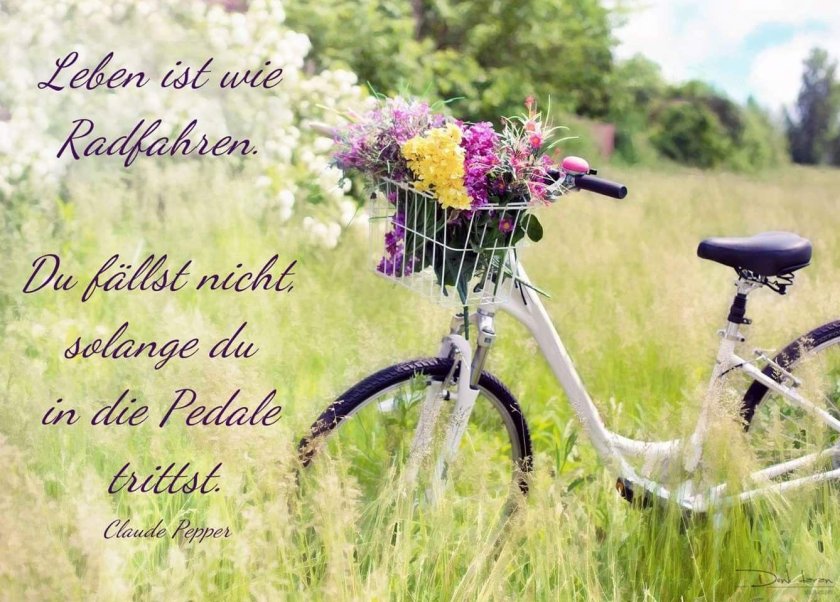 Велосипед с корзинкой цветов