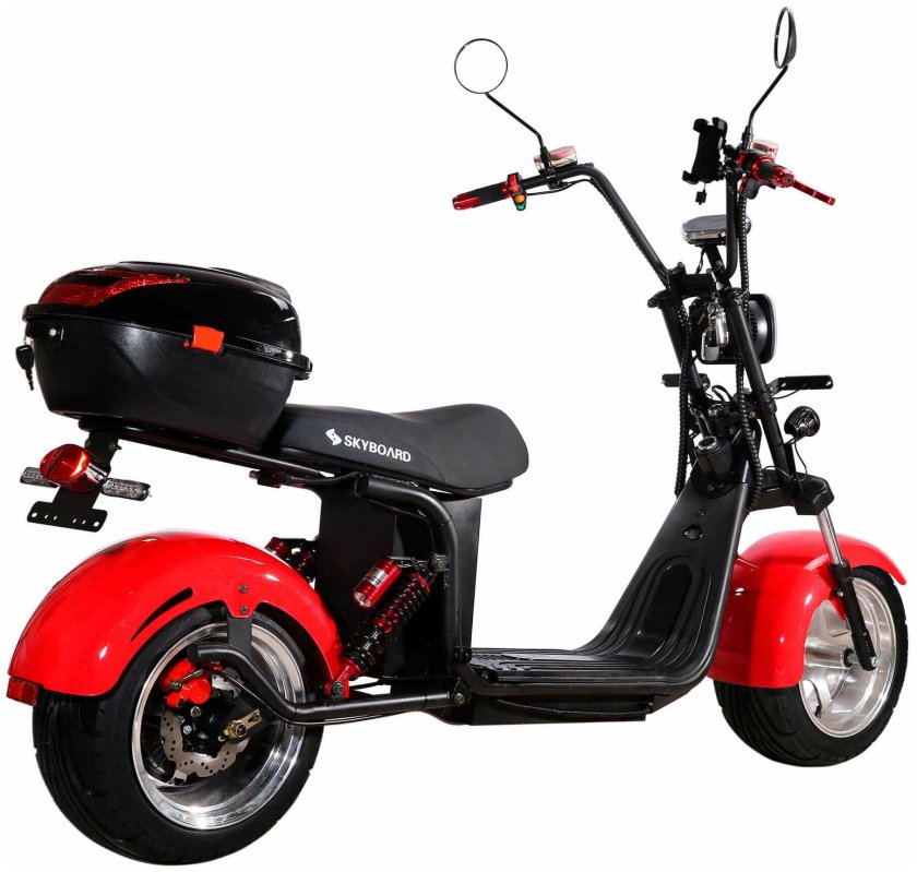 Citycoco Skyboard br30-3000