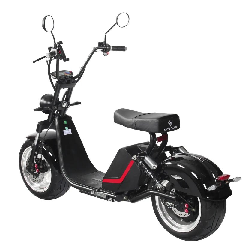 Citycoco skyboard br70-2wd