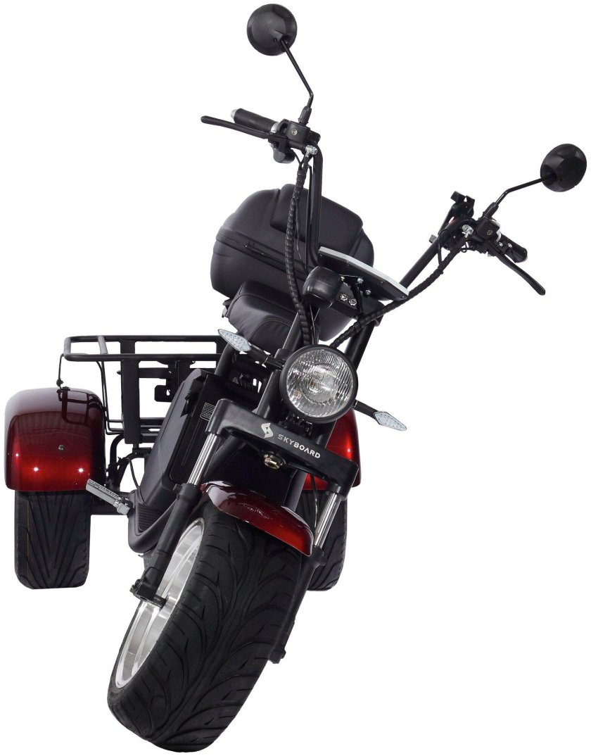 Skyboard Trike br80