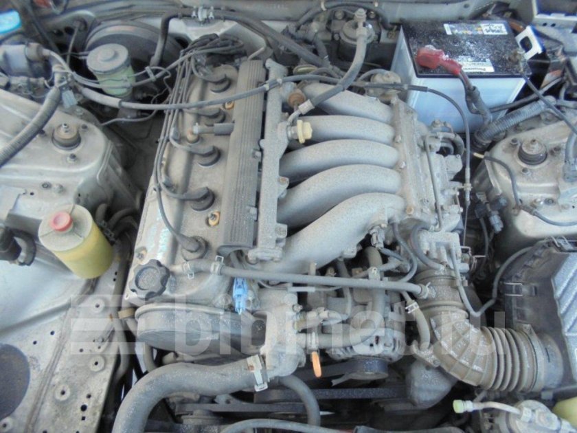 Хонда Инспаер 1995 мотор