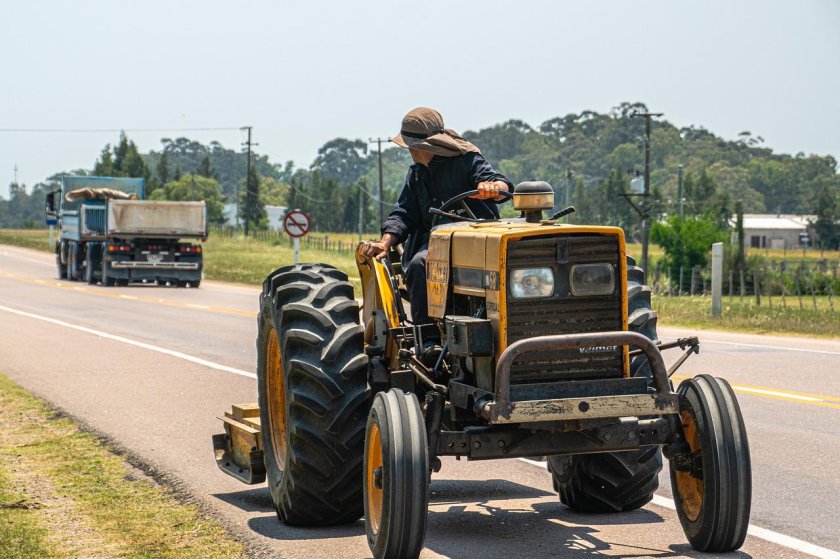 Трактор на дороге