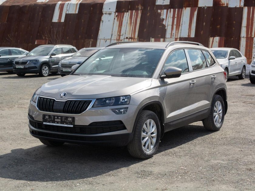 Škoda Karoq серый