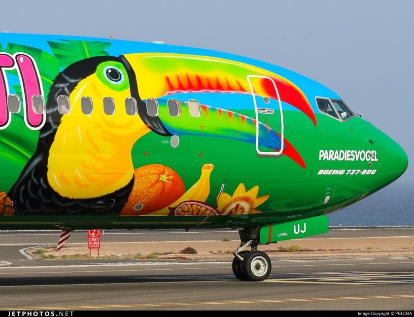 Citrus Airlines ливрея