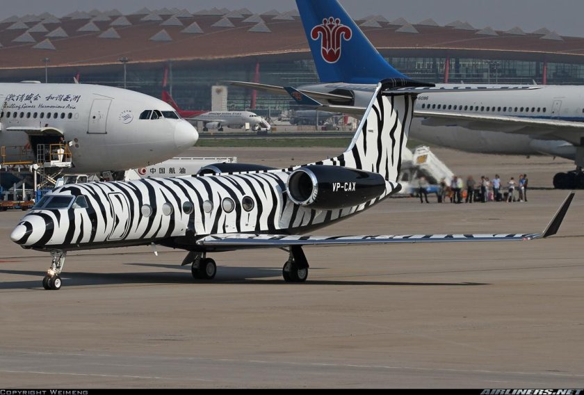 Кондор ливрея самолета