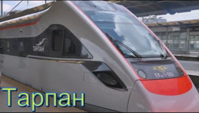 Экр1 Тарпан