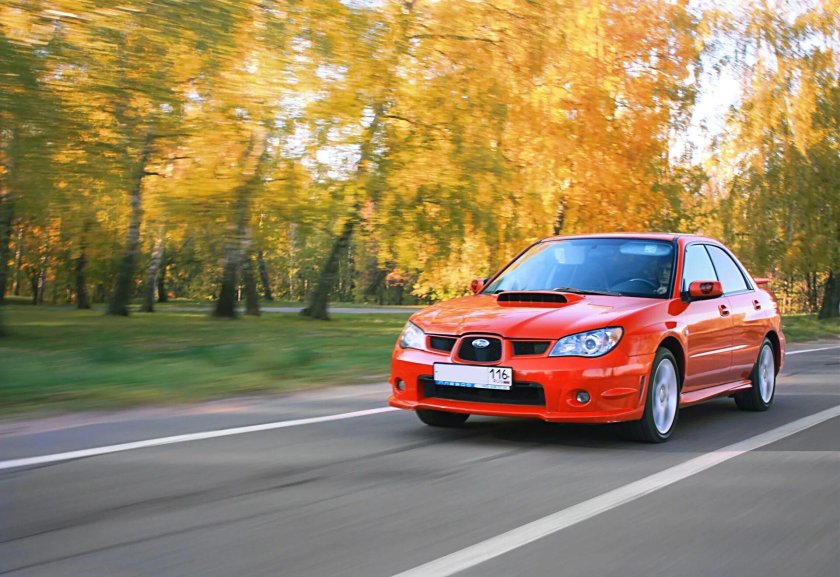 Subaru Impreza лиса