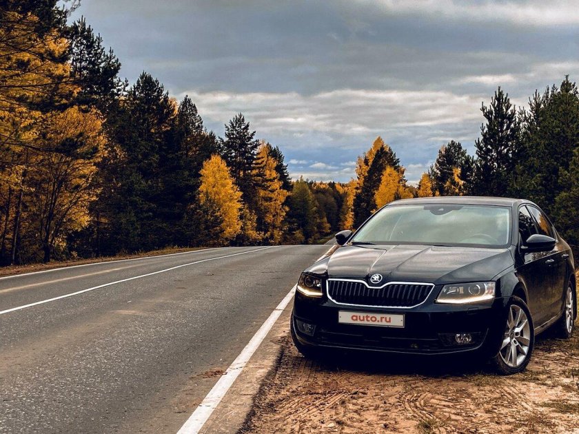 Шкода Октавия отзывы владельцев все минусы и плюсы