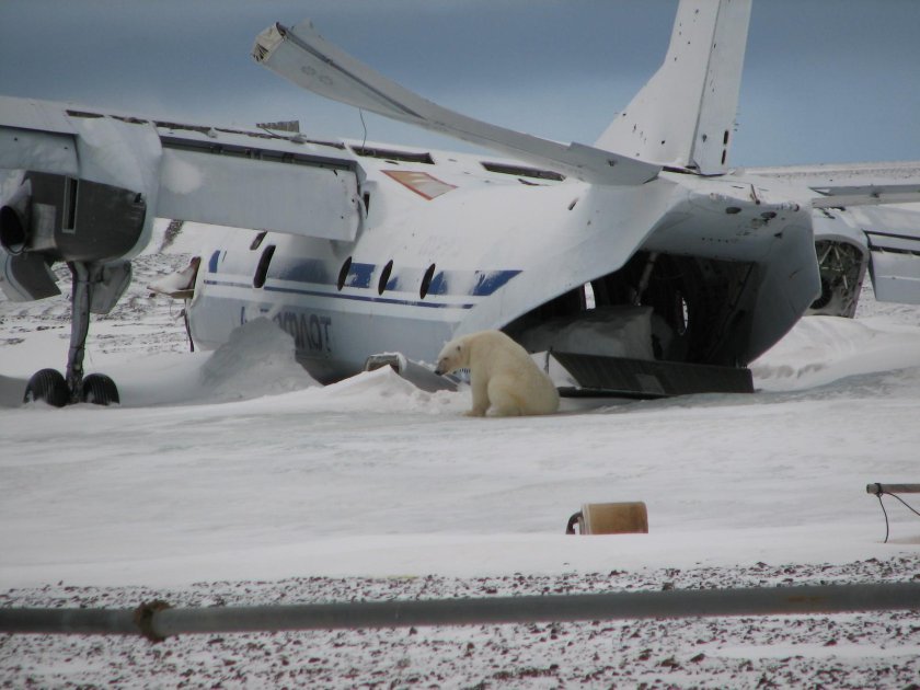 Ил 76 в Антарктиде