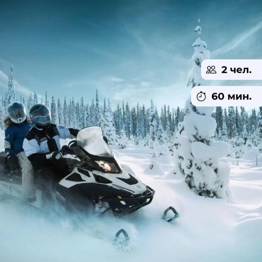 Снегоход в лесу