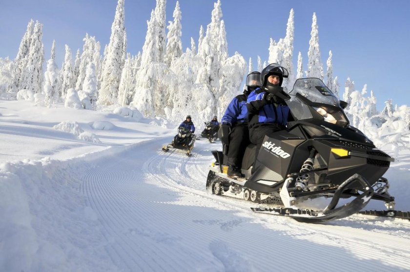 Снегоходное сафари