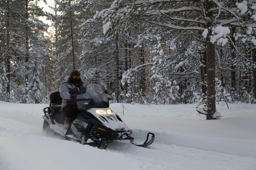 Снегоход зимой прокат