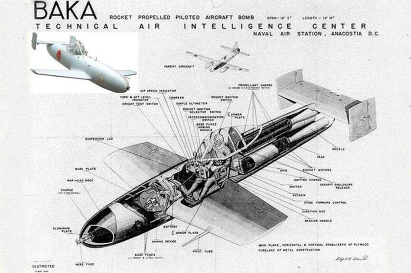 Японский самолёт-снаряд Yokosuka mxy7 Ohka («цветок Сакуры»)