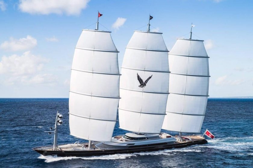 Мальтис Фалькон