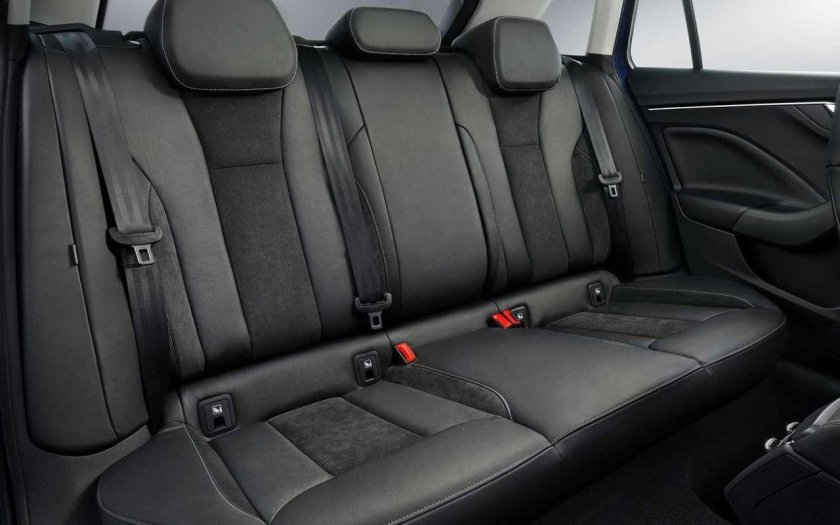 Шкода скала