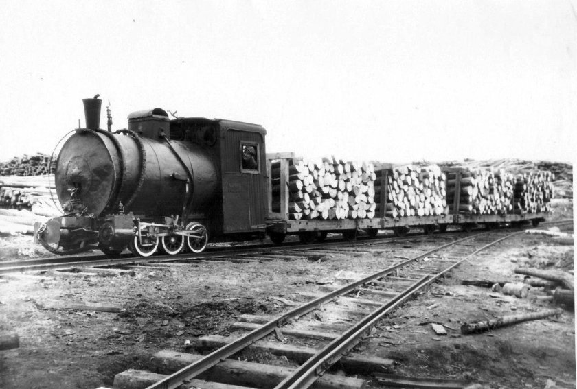 Узкоколейная железная дорога паровоз