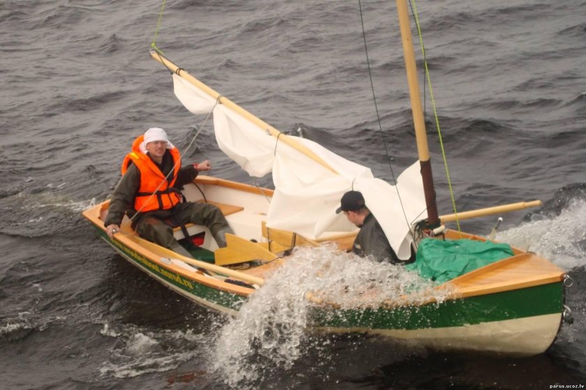 Швертбот трепанг