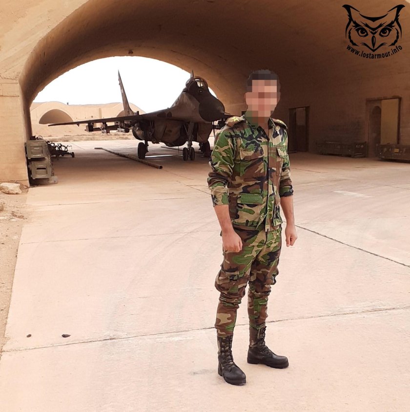 Миг-29 в Сирии