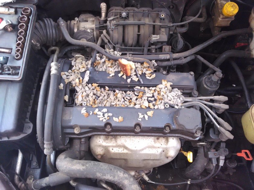 Под капотом Лачетти 1.6