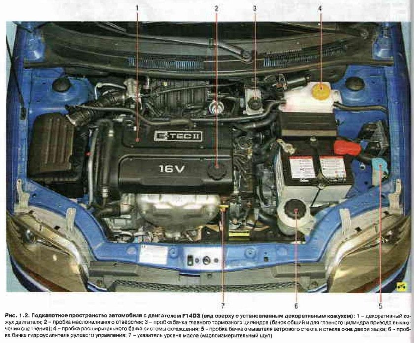 Подкапотное пространство шевроле авео т 300