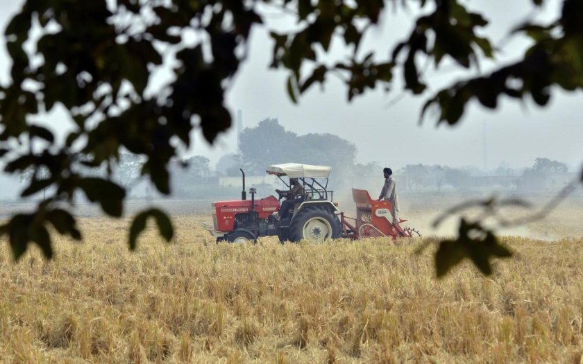 Климат и сельское хозяйство
