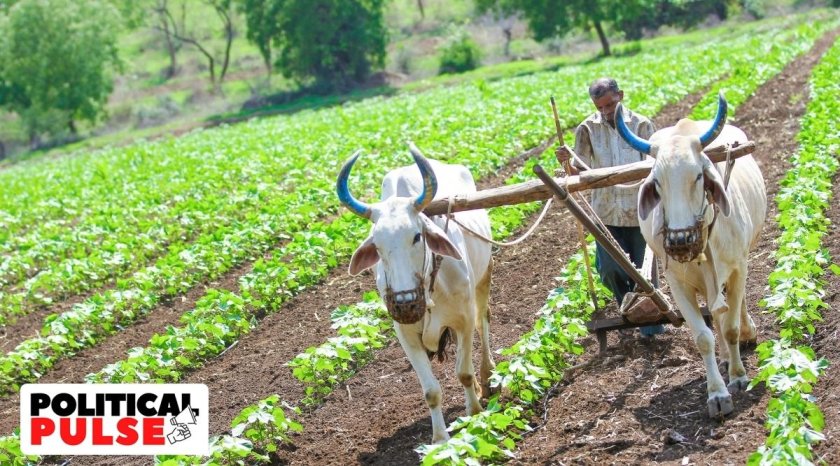 Сельское хозяйство Индии