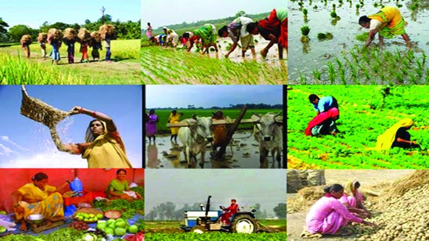 Сельскохозяйство Индии