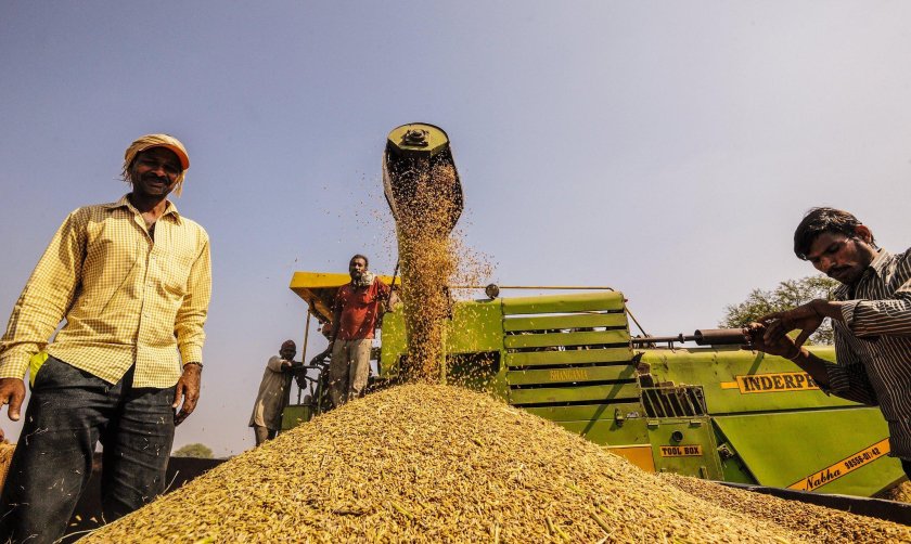 Пакистан сельское хозяйство