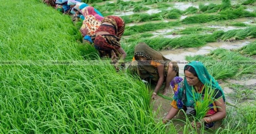 Сельское хозяйство Индии Индии