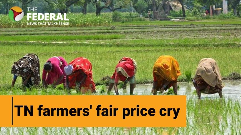 Сельскохозяйство Индии