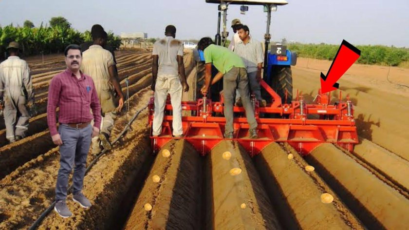 Сельское хозяйство Индии