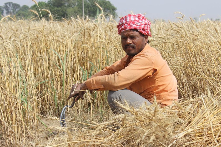 Работа в поле