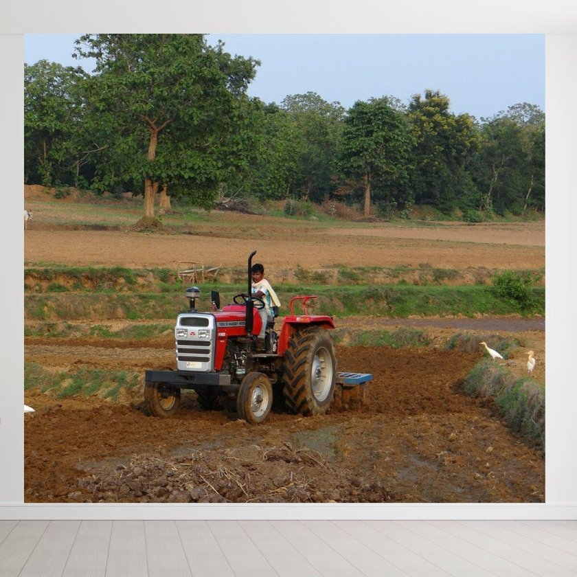 Сельское хозяйство Индии