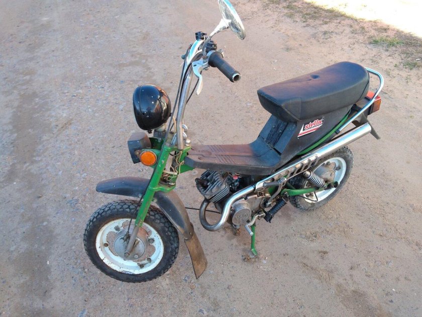 Миник Стелла