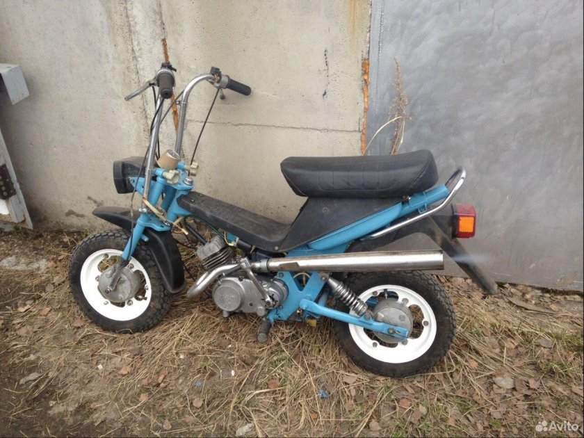 Мини Рига Стелла