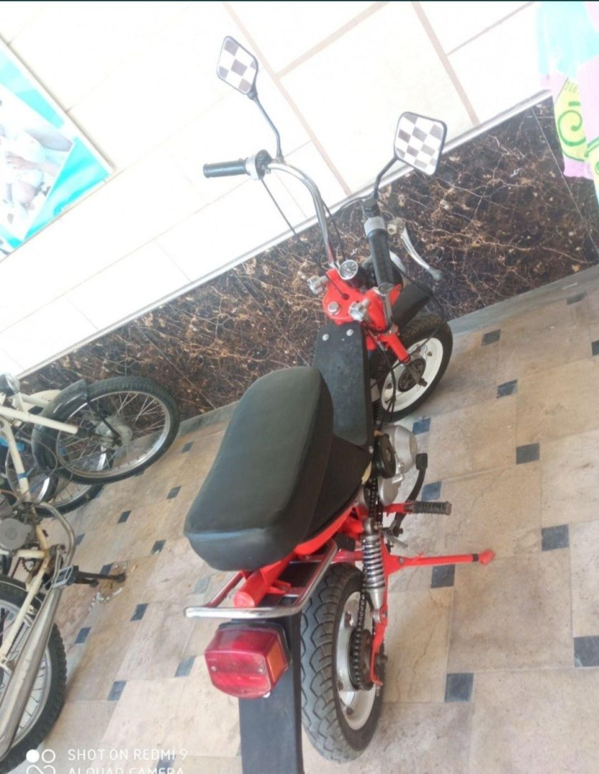 Наклейка на мопед Стелла