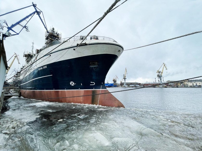 Механик Сизов судно