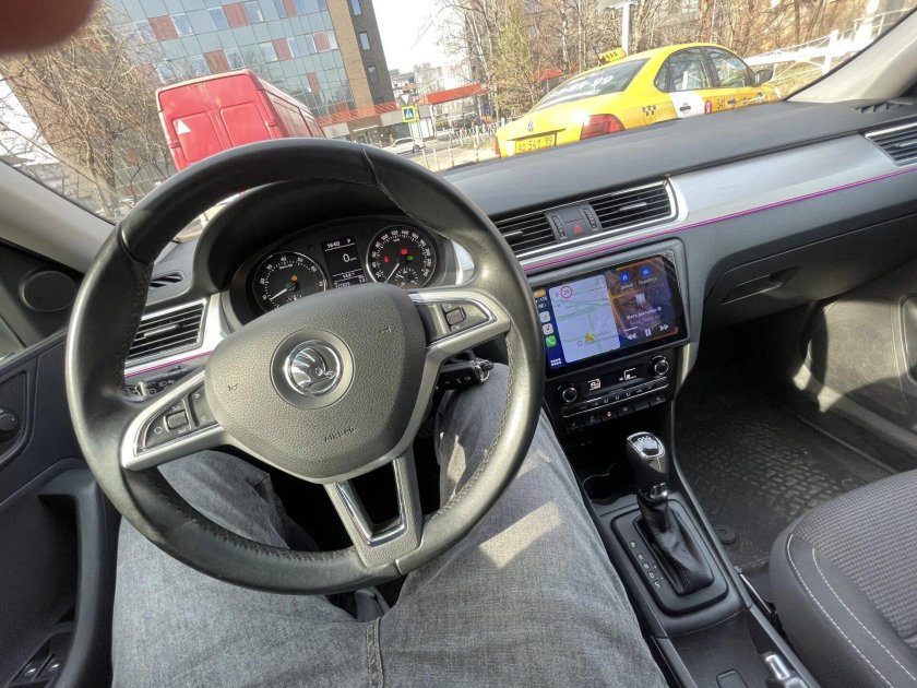 Сетка в салон Шкода Рапид