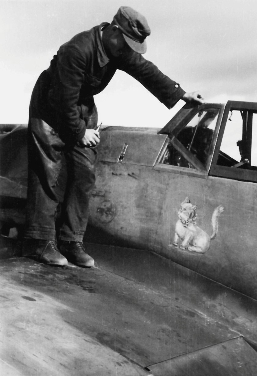 Алелюхин летчик