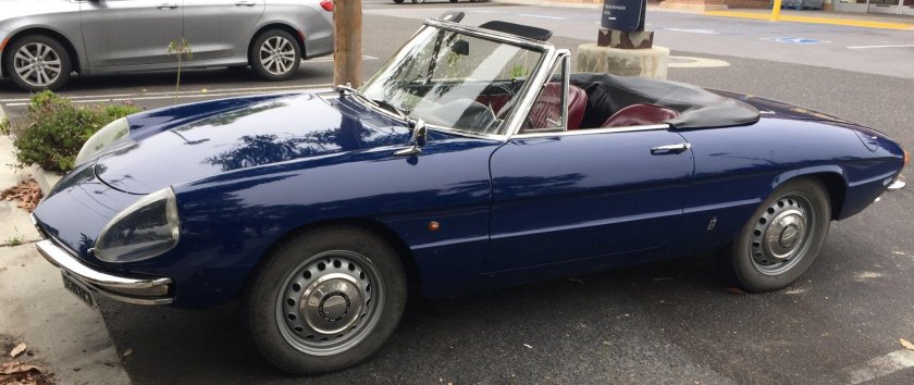 Alfa romeo spider duetto