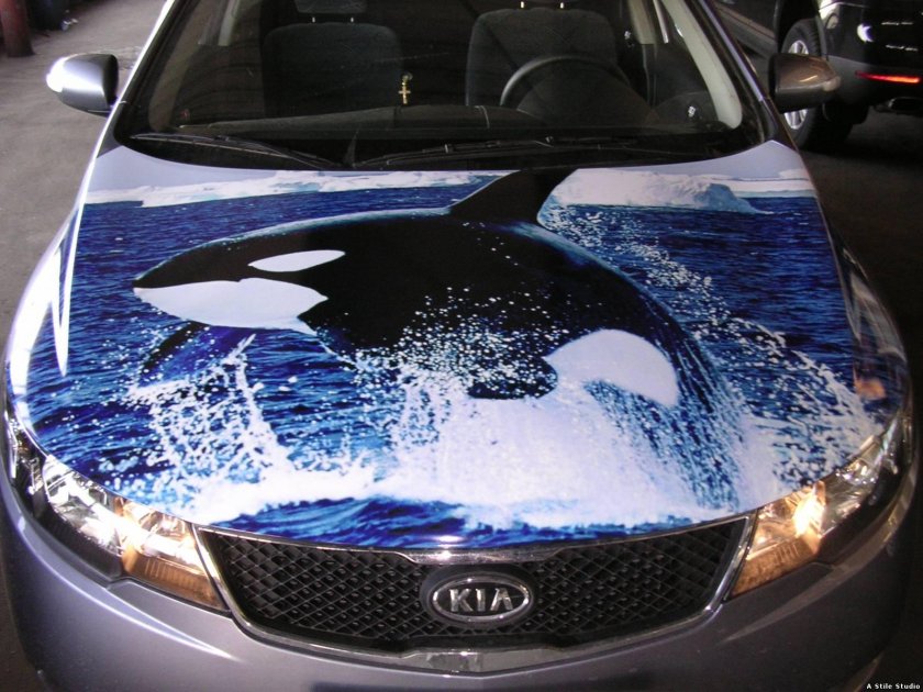 Пленка на авто